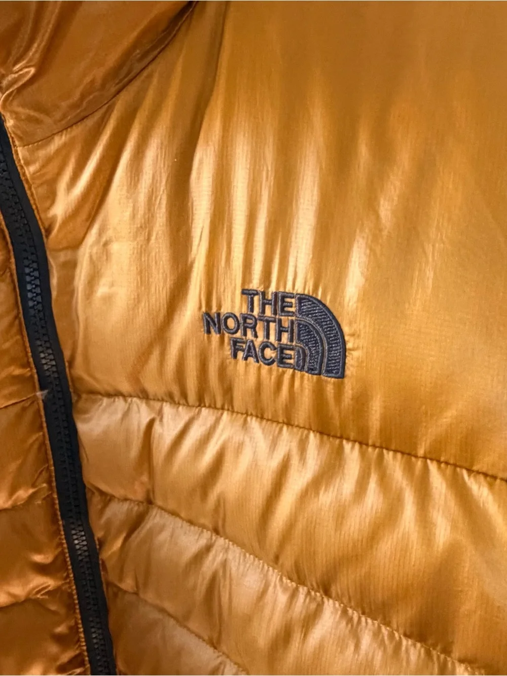 The North Face north face